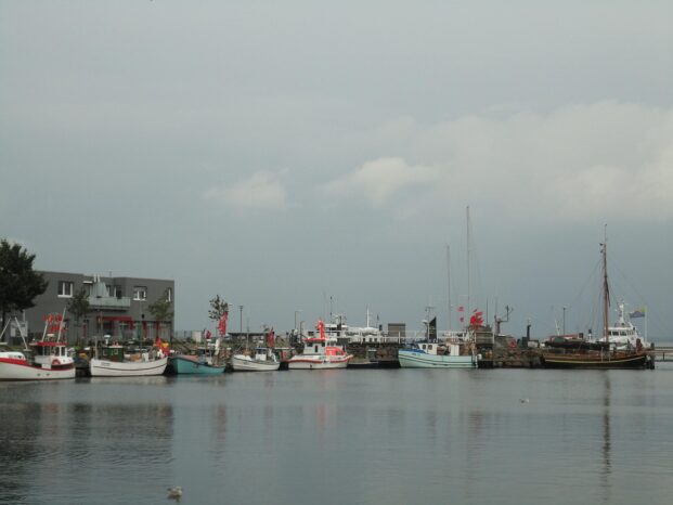 Fischereihafen Heiligenhafen mit Kuttern und Ausflugsschiffen