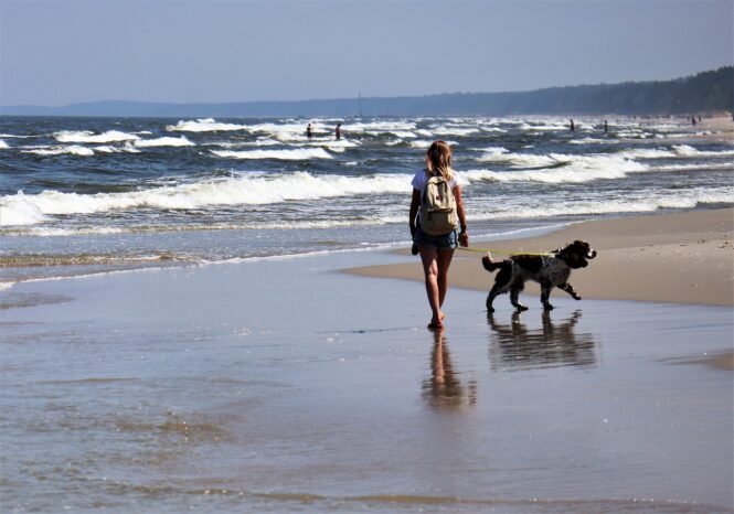 Hund mit Begleitung am Ostseestrand