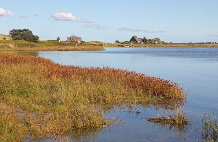 Naturschutzgebiet Graswarder bei Heiligenhafen mit Lagune und Salzwiesen