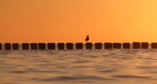 Heiligenhafen bei Sonnenaufgang mit farbigem Himmel über der Ostsee